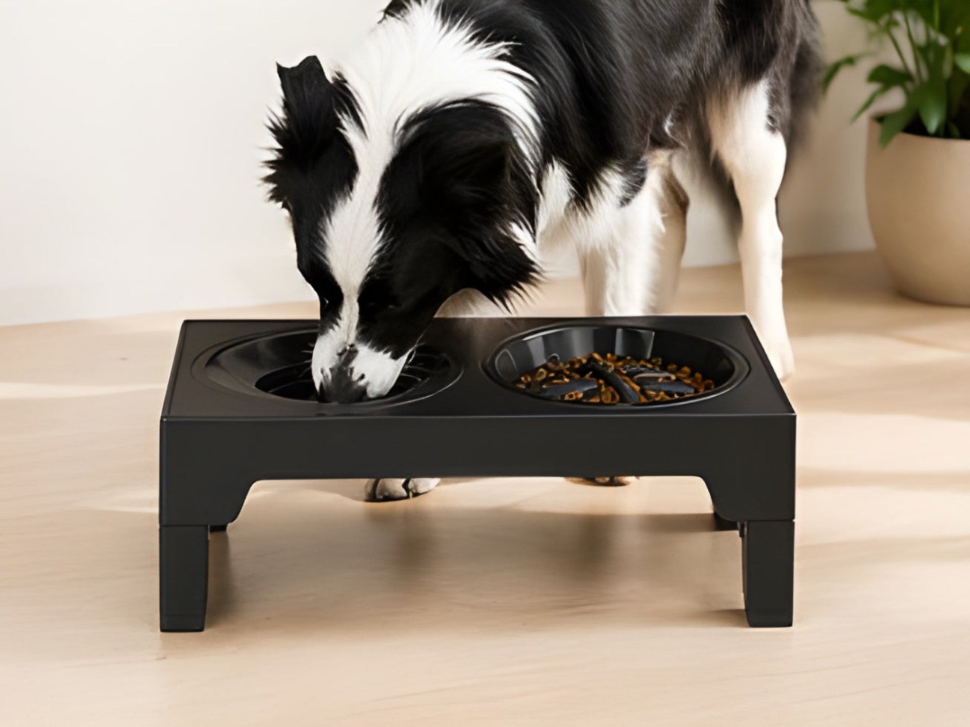 FurBowl Elevated Dog Bowl