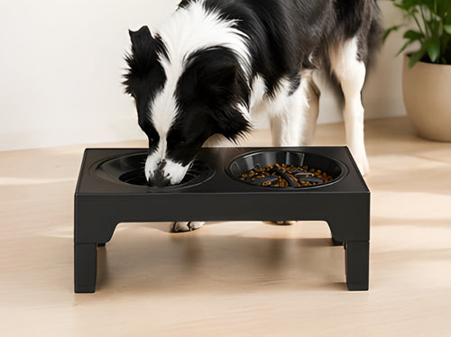 FurBowl Elevated Dog Bowl